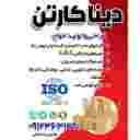 دینا کارتن