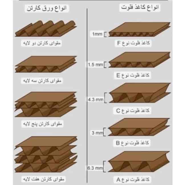 1746683002952.webp