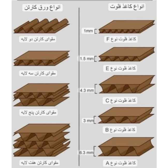 1746683002952.webp