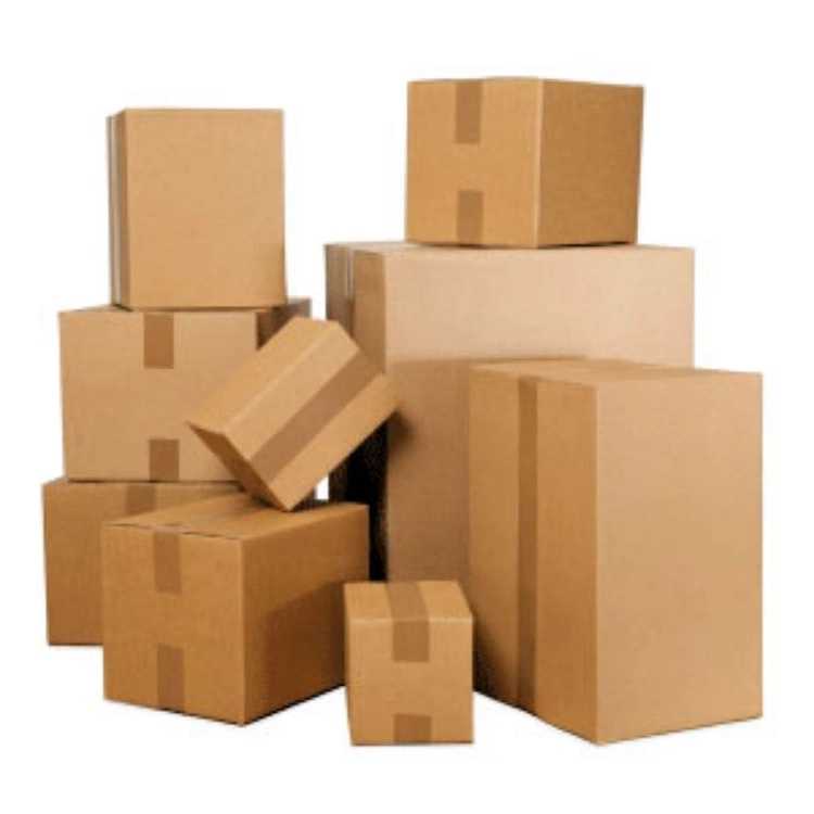 1746598874486.webp
