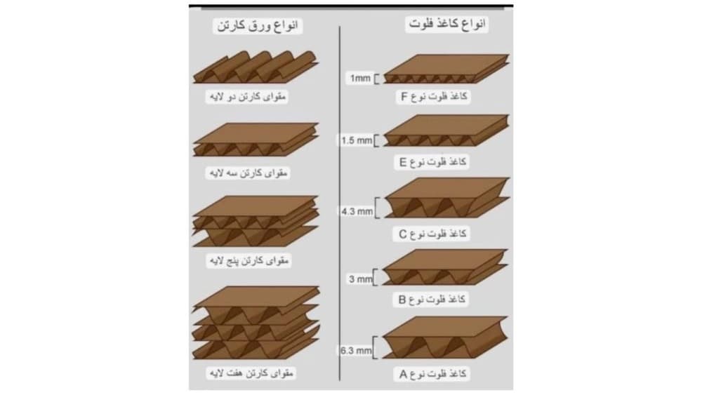 دینا کارتن